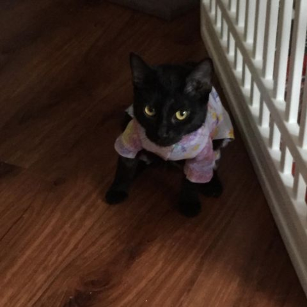 Meet your Posher, Jamie